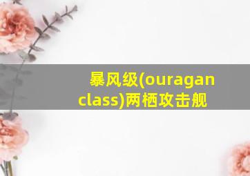 暴风级(ouragan class)两栖攻击舰